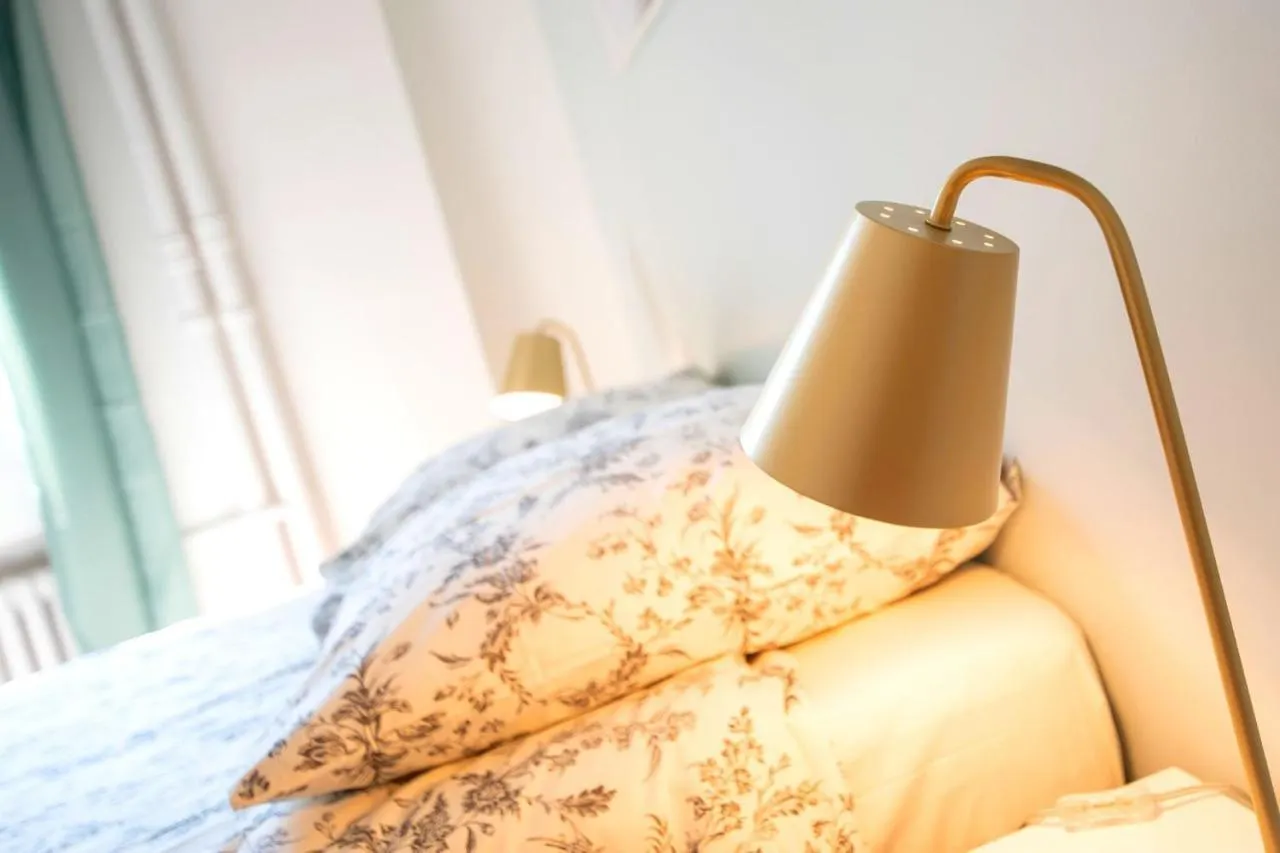 Apartment Dreamy Flat Lyon - Hyper-Centre - Jean Mace - Studio Cosy France